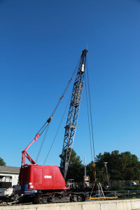 Crane-600x900