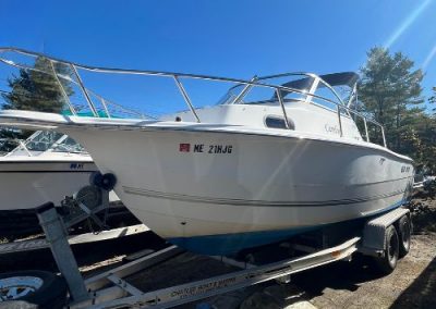 20′ Sea Pro